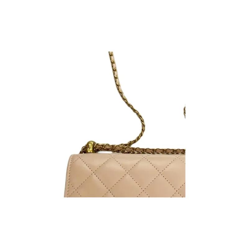 CHANEL WOC Calfskin Wallet On Chain, Coin Purse, Shoulder Bag, Crossbody Bag Women's Pink-2