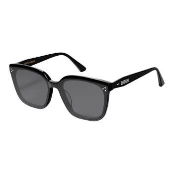 GENTLE MONSTER Palette Tinted Sunglasses
