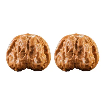 DALONG Text Plays Walnuts Collectible Unisex