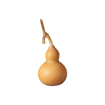 Memories Gourd Collectible Unisex