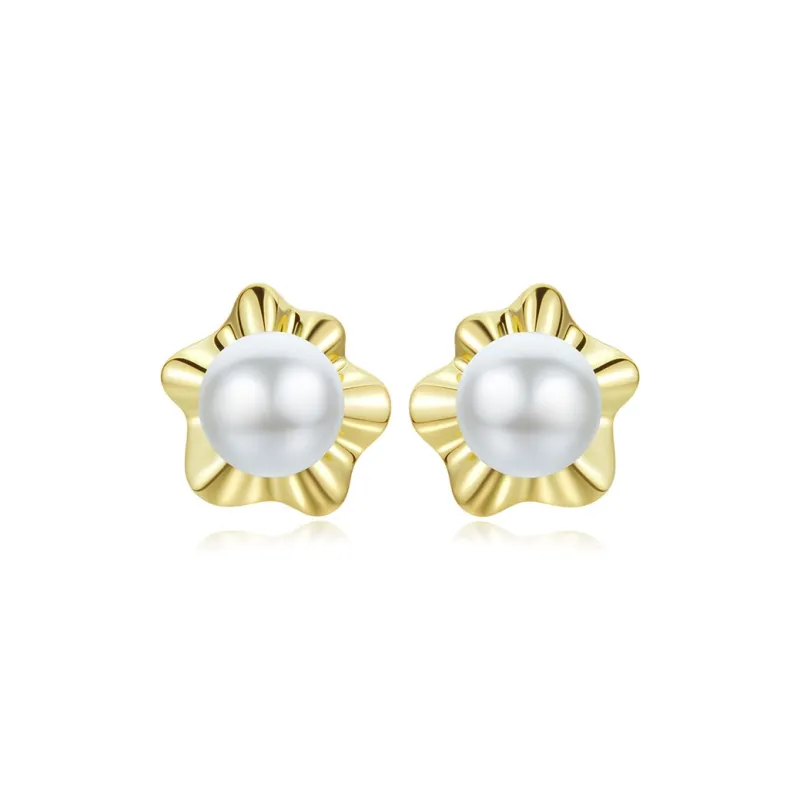 KAiLA S925 Silver Stud Earrings Women's Love Confession Gift Box Style-4