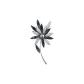 Dazzling Blue (Bauhinia Cotton)