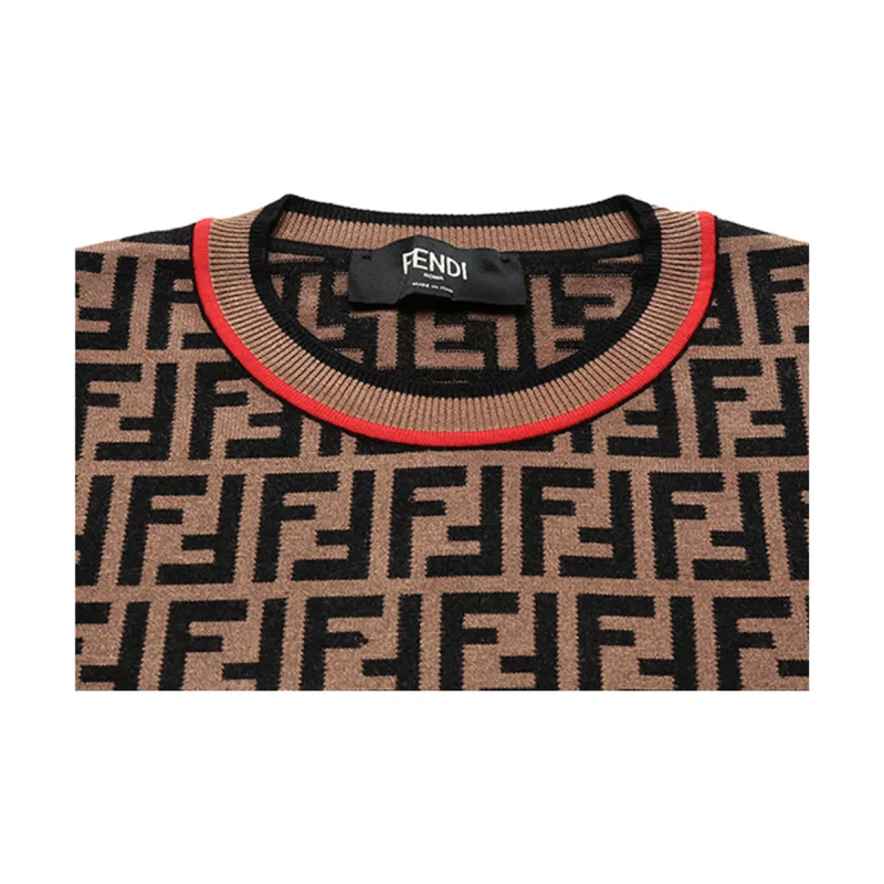FENDI Sweaters Men Brown-6