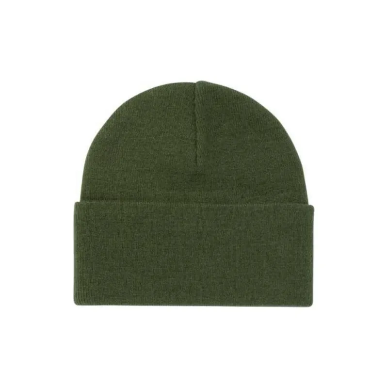 Carhartt WIP American Script Logo Embroidered Beanie-1