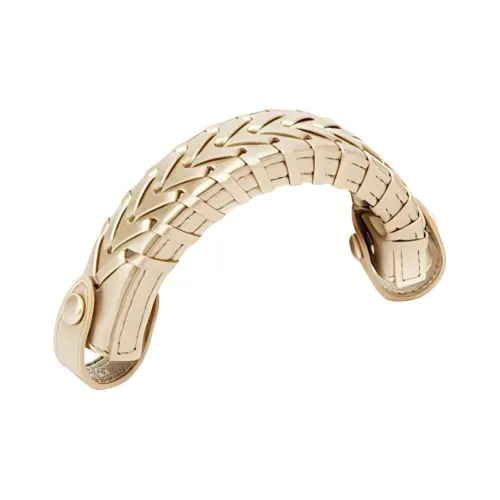 FENDI Calfskin Controller Dust-Resistant Case Accessory Small Size Women's Gold