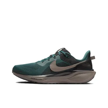 Nike Air Zoom Pegasus 41 Sp Faded Spruce