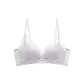 Light Silver Gray[Touch Me Not Lace]