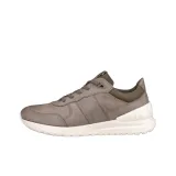 Gray Brown