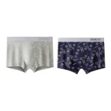 Ice Gray+Navy Blue