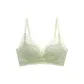 Matcha Green[Touch Me Not Lace]