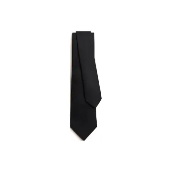 HERMES New H Ties Men