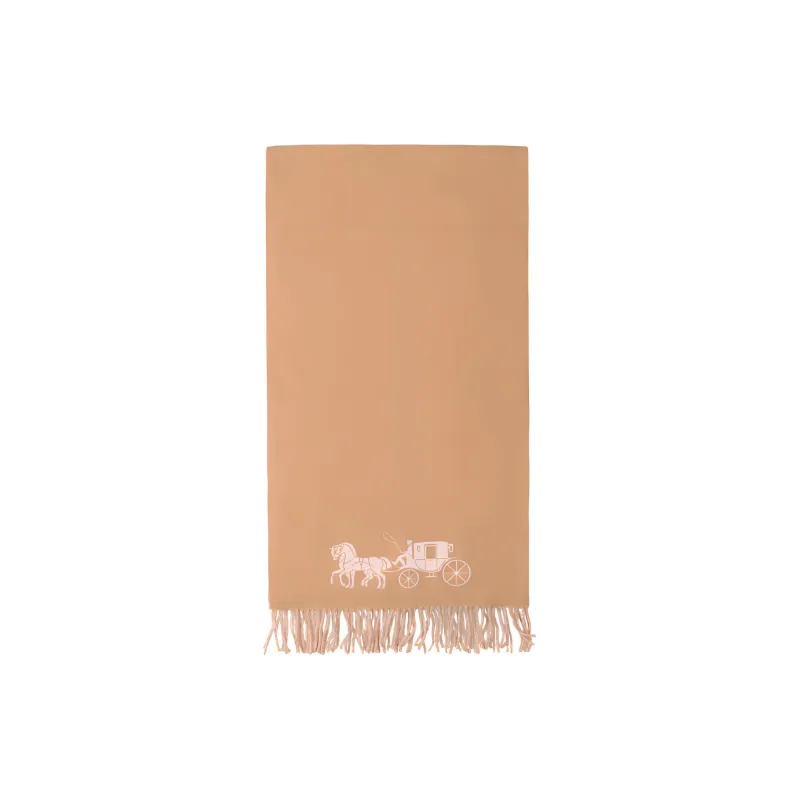 COACH Wool Knit Scarves Unisex Khaki-0