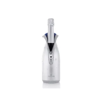 Swarovski Champagne Gift Box Set
