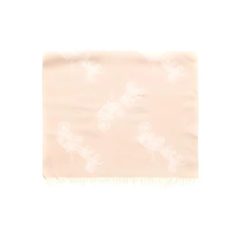 COACH Knit Scarves Unisex-2