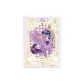 Twilight Sparkle Time Box