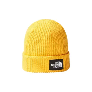 THE NORTH FACE Salty Lined Beanie