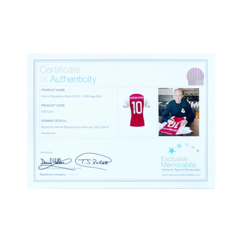 Three For Ajax Team Jersey EM Certificate Framed-5