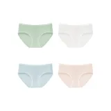 Light Pea Green+Raw White+Aqua Blue+Light Shrimp[ALD1442]