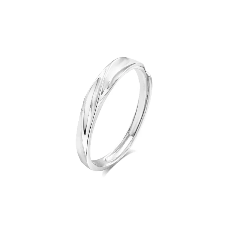 BLANK IN BLANK Sterling Silver Rings Unisex Date Snake Year Ornament Box-5