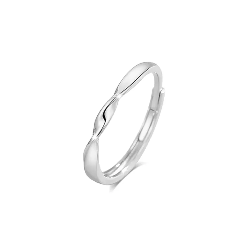 BLANK IN BLANK Sterling Silver Rings Unisex Date Snake Year Ornament Box-5