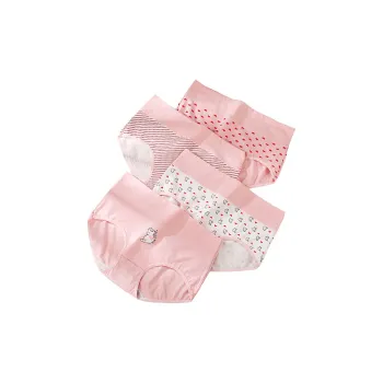 Lanza Underpants Women's 4 Pack Pink Cat