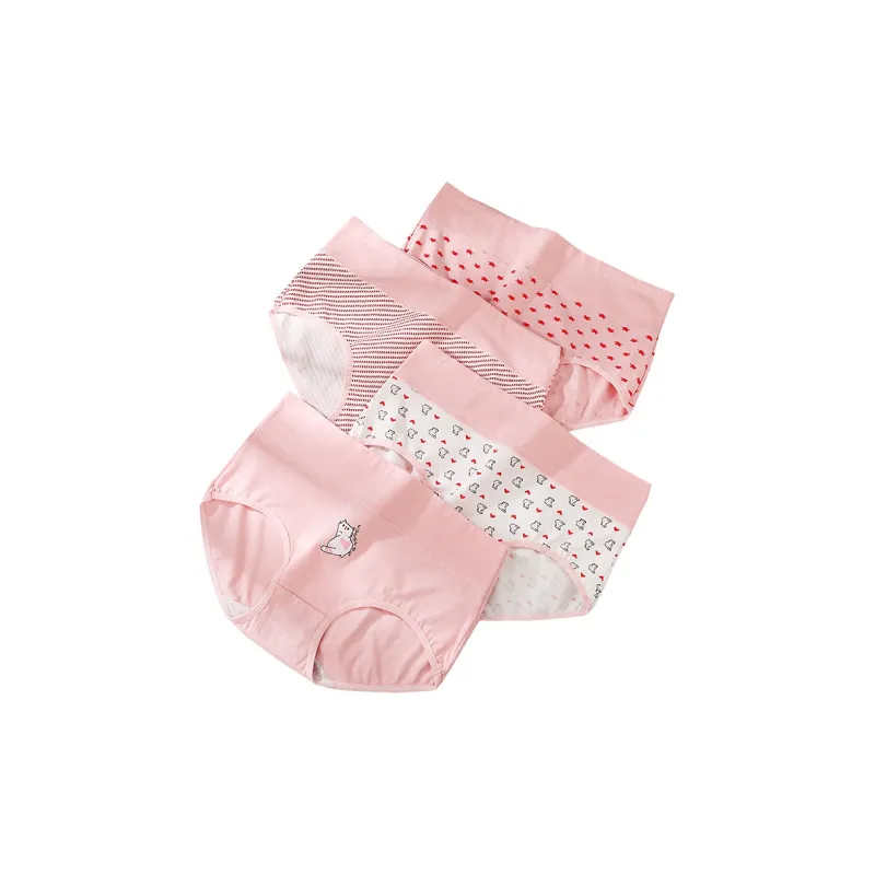 Lanza Underpants Women's 4 Pack Pink Cat-0