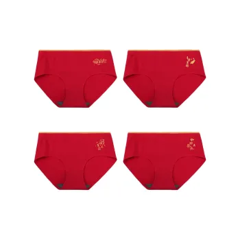 Lanza Underpants Women's 4 Pack