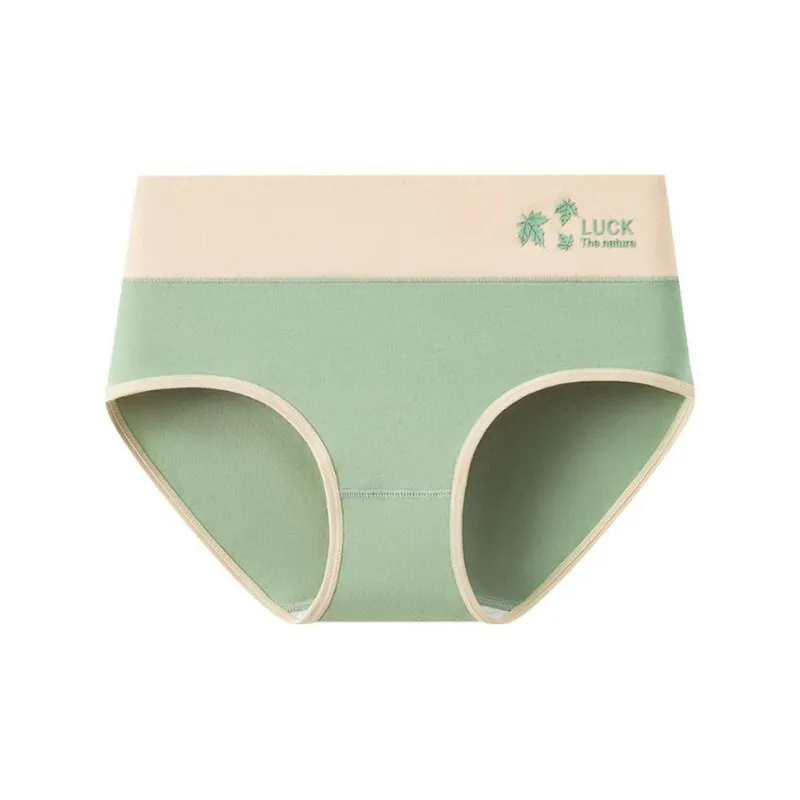 OEING Underpants Women's 5 Pack Mixed Color-2