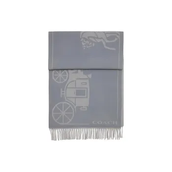COACH Sheep Wool Cashmere Knit Scarves Unisex Gray