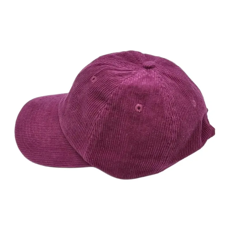 Stussy Cotton Baseball Caps Unisex Purple-2