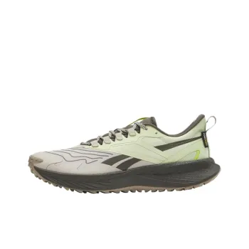 Reebok Floatride Energy 5 Anti Slip Wear Resistant Low Top Casual Running Shoes Men's Blue Brown