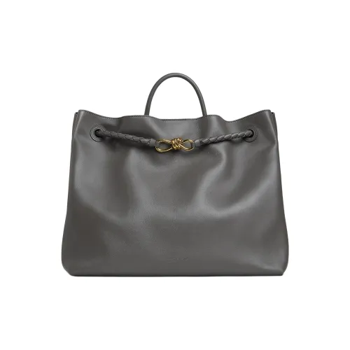 Bottega Veneta Andiamo Series Handbags