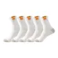 5 Pack (White)