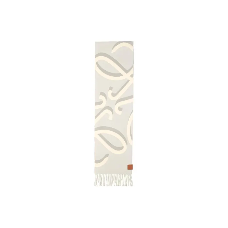 LOEWE Knit Scarves Women's Gray-0
