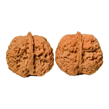 Xihe Core Creation Walnut Fine Handicraft Collectible Unisex