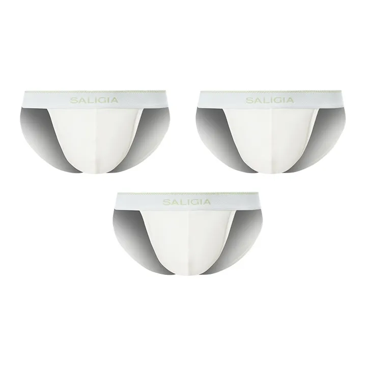 SALIGIA High Cut Underpants Men's-0