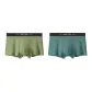 Pale Sea Green