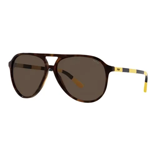 Polo Ralph Lauren Acetate Aviator Sunglasses Men's Tortoiseshell