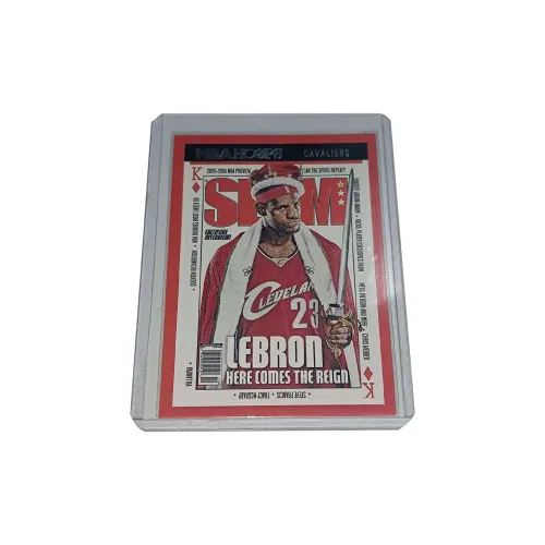 PANINI NBA Hoops LeBron James Limited Edition Teca SLAM. Cover Magazine LeBron James Basketball Card Sports Cards 1 Pc