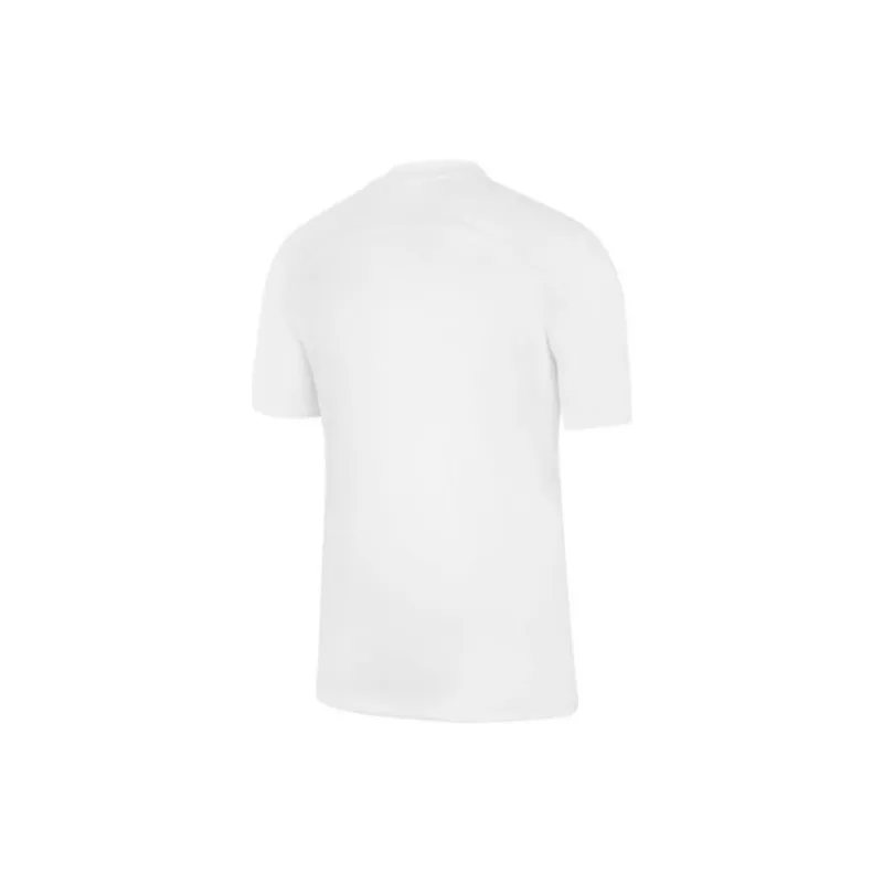 Nike Paris Saint Germain 2022/23 Stadium Third Jersey-1