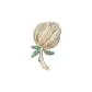 Shimmering Gold (White Magnolia)