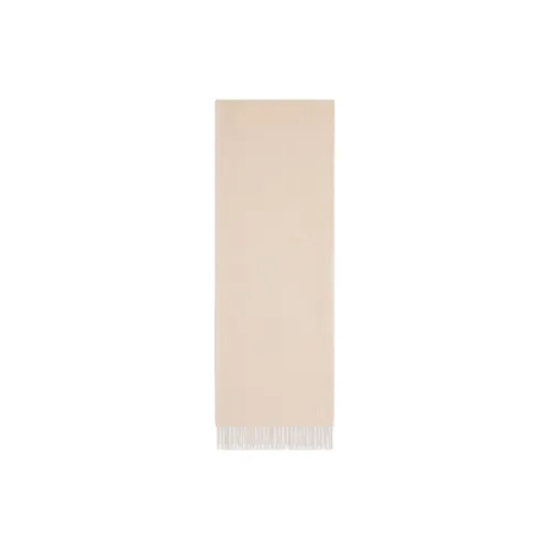 CELINE Triomphe Scarf In Cashmere