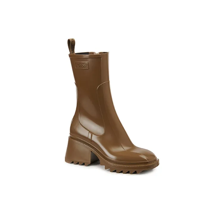 Chloé Chelsea Boots Women's Low-Top Brown-2