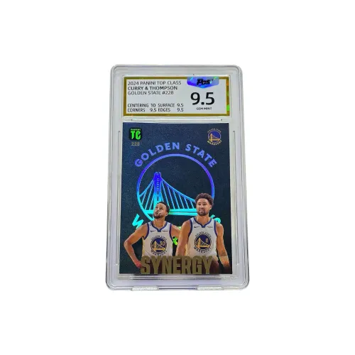 PANINI Graded Cards