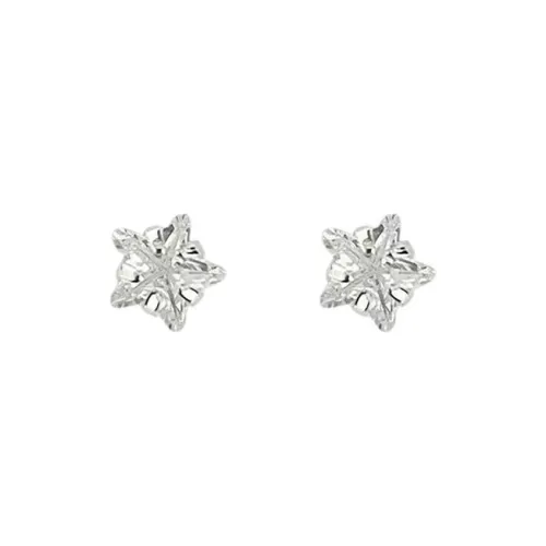 SUYG Bestie Anniversary Zircon Earring Studs Women's Box+Shopping Bag Packaging