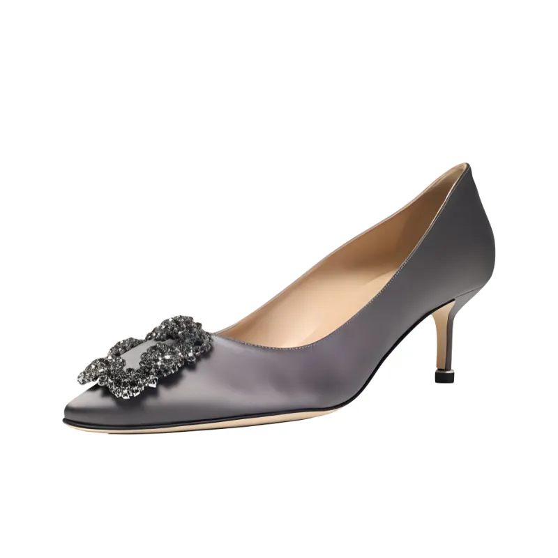 MANOLO BLAHNIK Hangisi Slim Heel High Heels 5cm Women's Gray-2