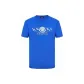 Cobalt Blue