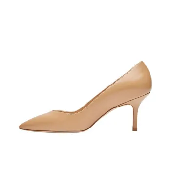Stuart Weitzman/SW Eva Slim Heel High Heels 7.5cm Women's Dark Beige