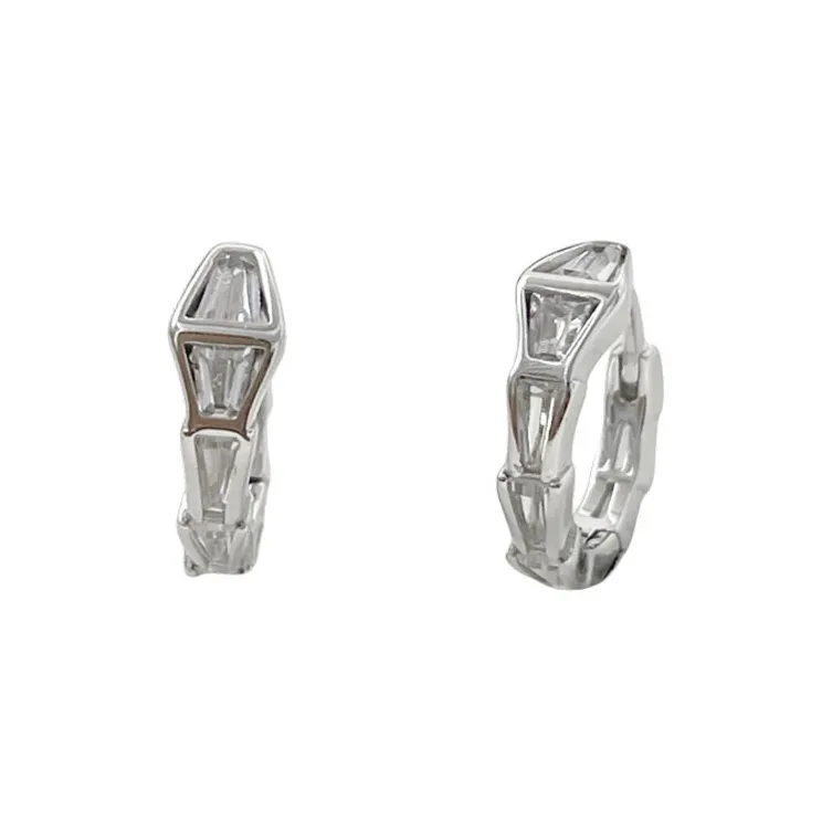 2323 S925 Silver Earrings Women's-7
