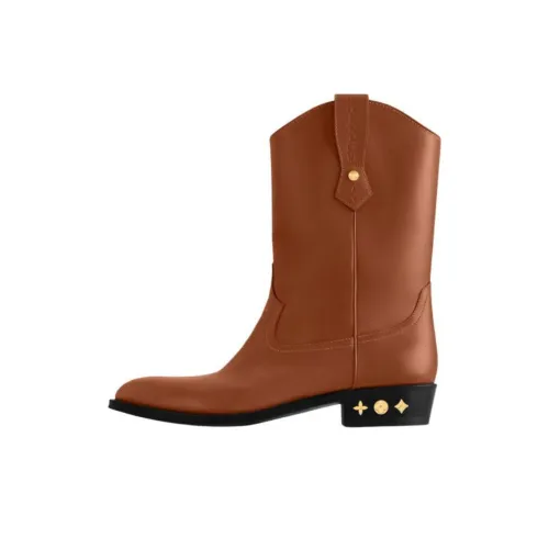 LOUIS VUITTON Rider Ankle Boots Men's Brown